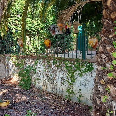 Suite & Spa Panoramic Olivars Pau Exterior foto